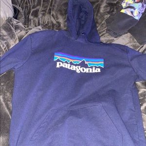 Patagonia hoodie